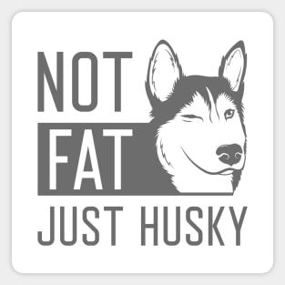 Not Fat Just Husky Magnet